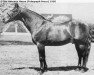 stallion Dean Hanover US-71679 (ex Mr Watt) (American Trotter, 1934, from Dillon Axworthy US-53323)