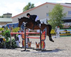 broodmare Cenani 2 (Oldenburg show jumper, 2010, from Cantoblanco)