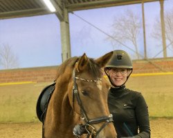 dressage horse Donnabella 14 (Hanoverian, 2018, from Don Martillo)