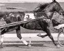 stallion Clean Sweep 90298 (US) (American Trotter, 1953, from Rodney 77557 (US))