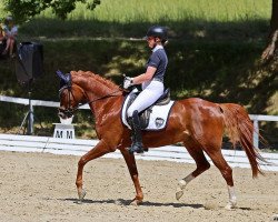 broodmare Santa Fe 70 (German Riding Pony, 2007, from Dein Sunnyboy)