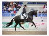 stallion San Remo (Oldenburg, 2001, from Sandro Hit)