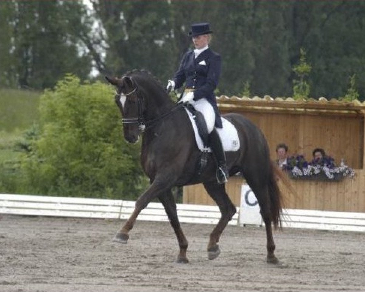 broodmare Donnerfee (Westphalian, 1994, from Donnerhall)