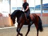 dressage horse Don Futuro (Oldenburg, 2000, from Don Gregory)