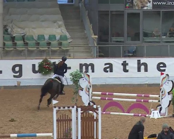 Reitturnier Kreuth/Opf. 2022