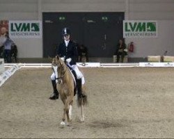 broodmare Danny H (German Riding Pony, 2001, from FS Don't Worry)