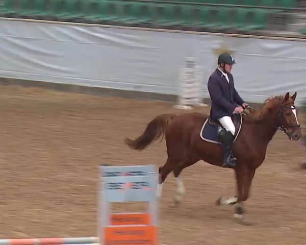 Reitturnier Kreuth/Opf. 2022