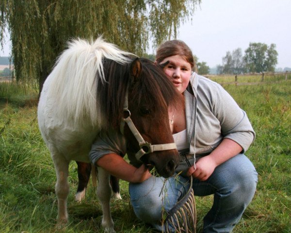 dressage horse Bella (Shetland Pony, 1990)