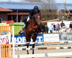 dressage horse Devito S (Westphalian, 2017, from Dibadu L)