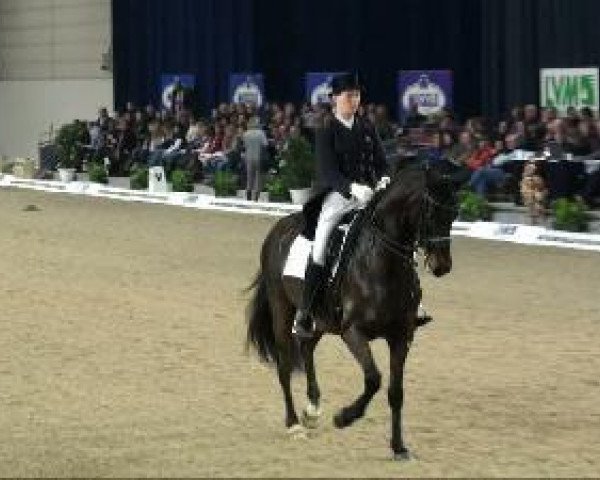 dressage horse Charly R'ivels (Hanoverian, 2000, from Charon)