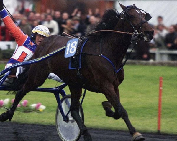 stallion Varenne V-0901 (IT) (American Trotter, 1995, from Waikiki Beach (US))