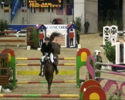 jumper Bonaire 5 (Oldenburg show jumper, 2003, from Baloubet du Rouet)