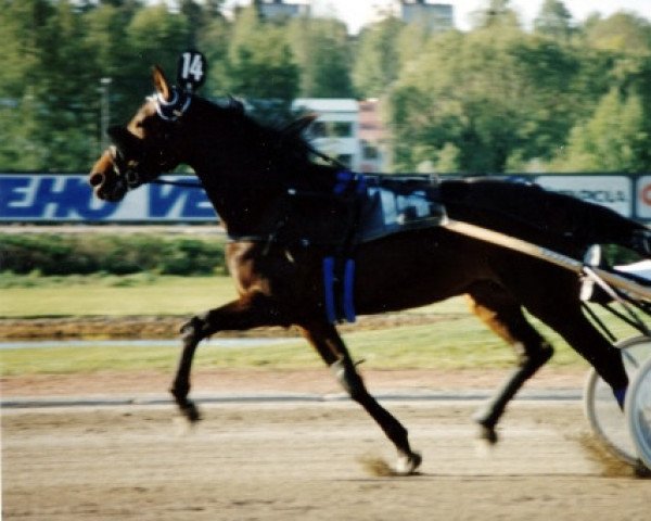 Zuchtstute Noisy Lobell EA-182 (US) (Amerikanischer Traber, 1986, von Speedy Crown 9498H (US))