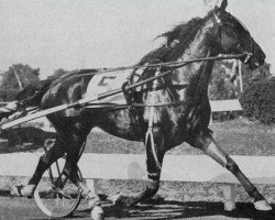 broodmare Laurita Hanover (US) (American Trotter, 1959, from Hoot Mon 76700 (US))