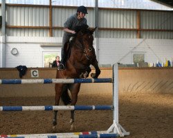 dressage horse Lüttinghof's Lindsay (Westfale, 2005, from Larson)