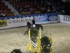 jumper Limenet (Hanoverian, 2004, from Limonit)