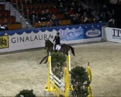 jumper Limenet (Hanoverian, 2004, from Limonit)