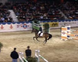 jumper Courant 2 (Swedish Warmblood, 2002, from Feliciano)