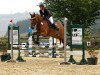 jumper Amy Von den Meweshöfen (Oldenburg show jumper, 2010, from Demet - Apokalipsis)