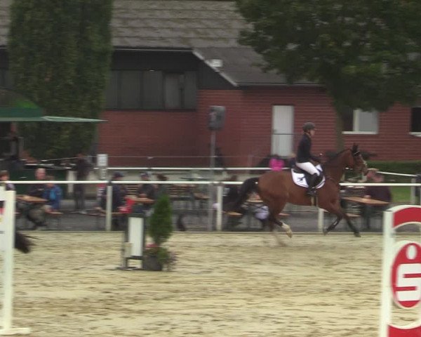 Reitturnier Ostenfelde-Vornholz 2021