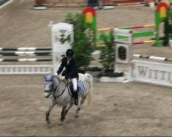 jumper Vanilla Sky 6 (German Riding Pony, 2000, from Vulkan)