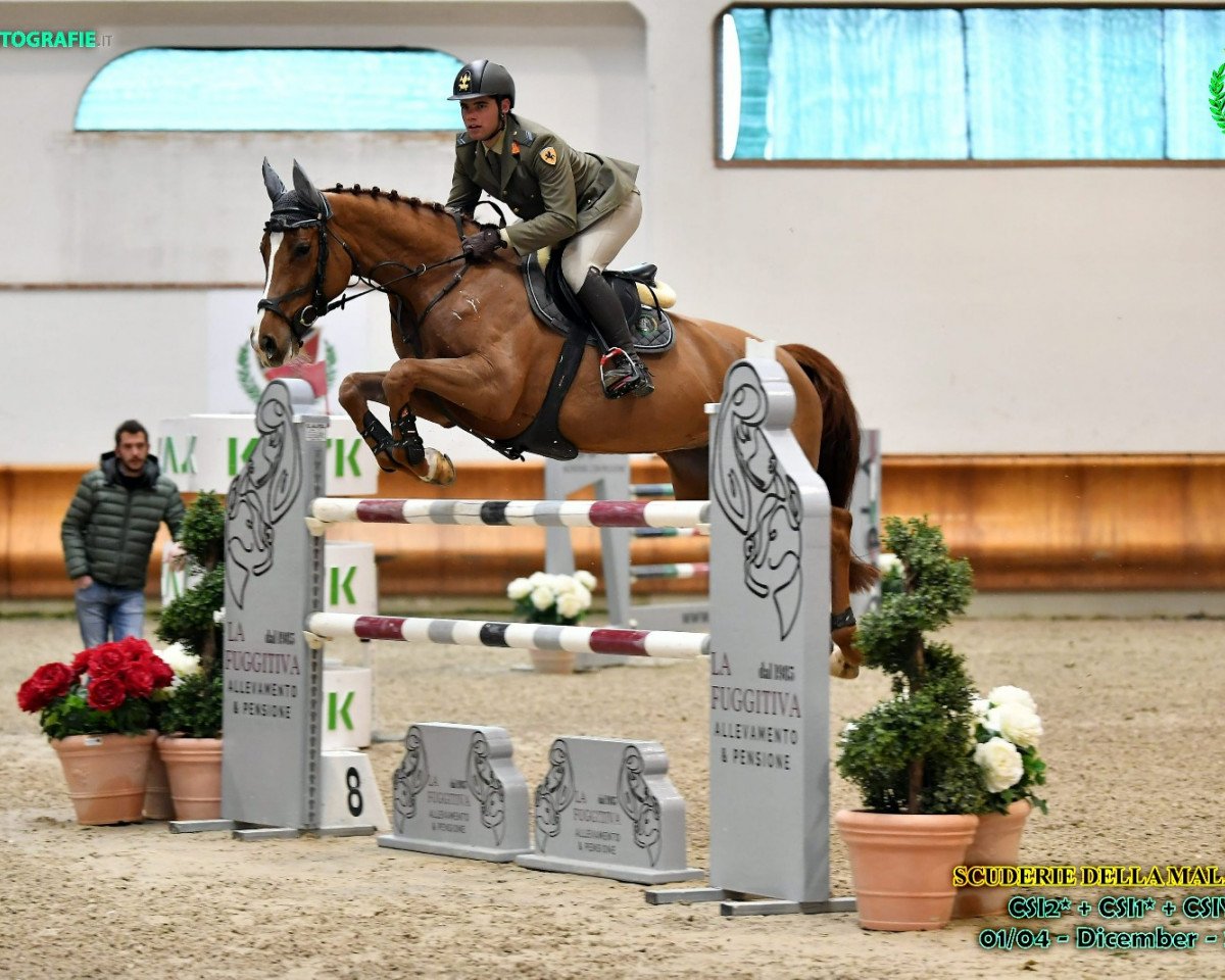 broodmare Kasalla (Holsteiner, 2015, from Kannan)