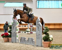 Springpferd Kasalla (Holsteiner, 2015, von Kannan)