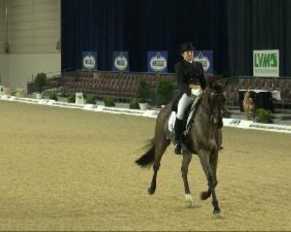 dressage horse Rowinjo (Westphalian, 2001, from Riccione)