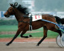 broodmare Migrating School E-0709 (US) (American Trotter, 1986, from Bonefish 8971L (US))