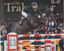 stallion Arizonas 5 (Trakehner, 2008, from Almox Prints J)