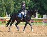 dressage horse Rubin Blue (Hanoverian, 2007, from Rascalino)