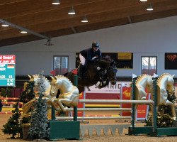 Springpferd Coeur de Chocolat 2 (Deutsches Sportpferd, 2013, von Casdorff)