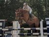 jumper Charming Chestnut (Hanoverian, 1997, from Calido I)