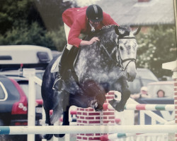 Springpferd Rebecca X (Holsteiner, 1995, von Riverman)