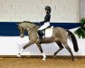 dressage horse Donna Leona 4 (German Riding Pony, 2009, from Donnerwetter)