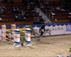 jumper Wiolita D (KWPN (Royal Dutch Sporthorse), 2003, from Cavalier)