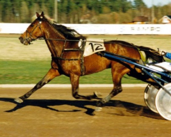 broodmare Suspender River 91-3050 (American Trotter, 1991, from Joie de Vie 7256Y (US))