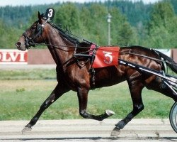 Zuchtstute Forever Kemp 91-1269 (Amerikanischer Traber, 1991, von Duran Hanover BB582 (US))