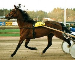 broodmare Fly By Kemp 91-1444 (American Trotter, 1991, from Joie de Vie 7256Y (US))