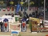 jumper Countdown S (Hanoverian, 1996, from Cheenook)