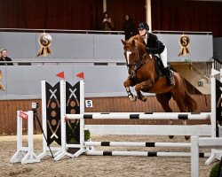 jumper Lord Legend Pezi (Oldenburg show jumper, 2016, from Lord Pezi Junior)