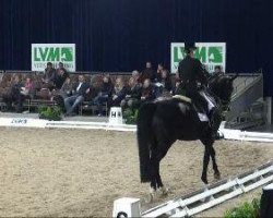 dressage horse Rotwelsch (Hanoverian, 2001, from Rotspon)