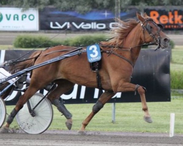 horse Aysha 07-2092 (American Trotter, 2007, from EL Glide VA-385 (CA))