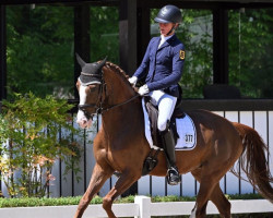 Springpferd Kastanienhof Rubina Kh (Deutsches Reitpony, 2017, von Kastanienhof Kentaur)