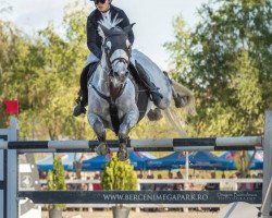 jumper Cader vd Slagershoeve Z (Zangersheide riding horse, 2010, from Cluysenaer Pni)