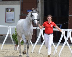 Zuchtstute Nurena Blue Von Whitemoon CH (Schweizer Warmblut, 2015, von Plot Blue)