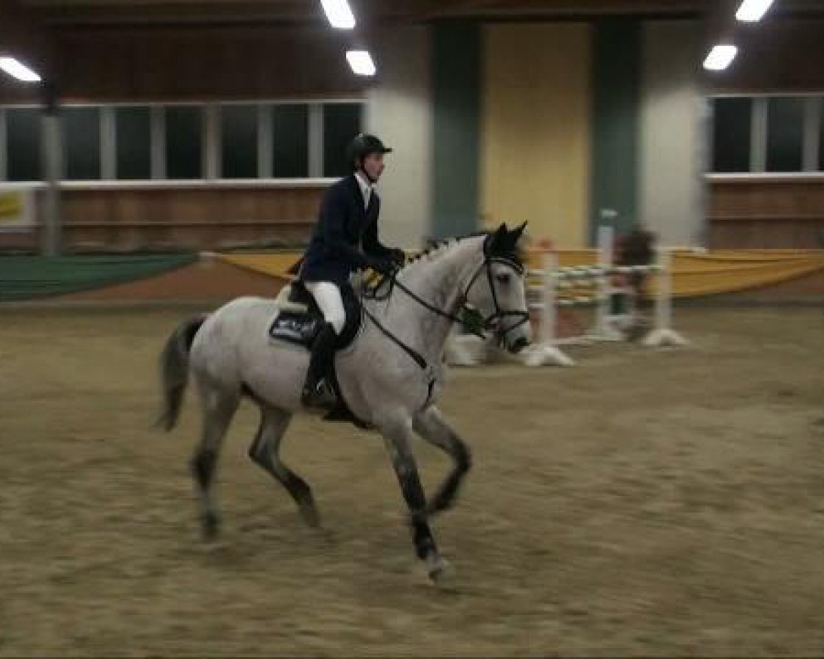 Springpferd White Magic 28 (Belgisches Warmblut, 1999, von Bon Ami)