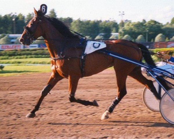 horse Graffiti Kemp 92-2982 (Traber, 1992, from Le Loir F-77-062817-S)