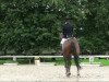 dressage horse Ramba Zamba 14 (Westphalian, 2005, from Bmc Roman Nature)