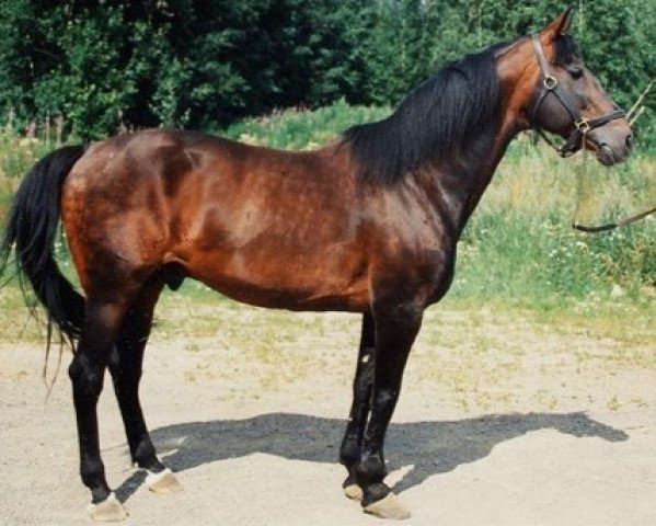 stallion Lancon (FR) (French Trotter, 1977, from Toledo II (FR))